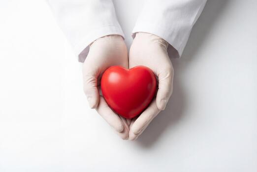 Cardio Health — doctor holding a heart